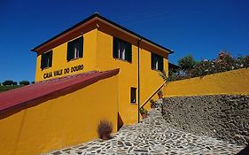 Douro Valley - Casa Vale Do Douro